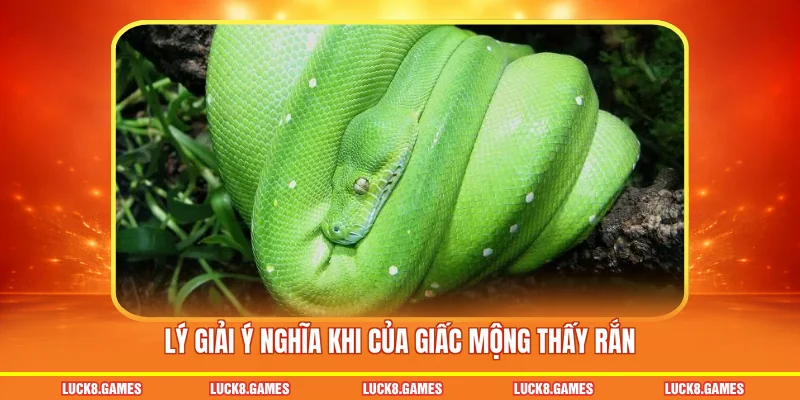Lý giải ý nghĩa khi của giấc mộng thấy rắn